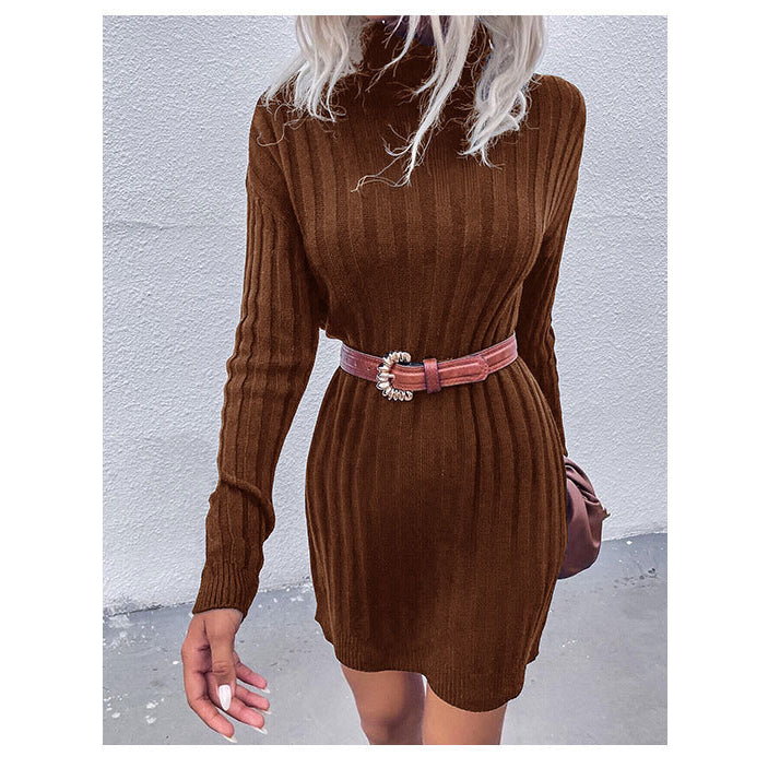 π§₯ Cozy Chic Turtleneck Sweater Dress β Fall Winter Must-Have βοΈ