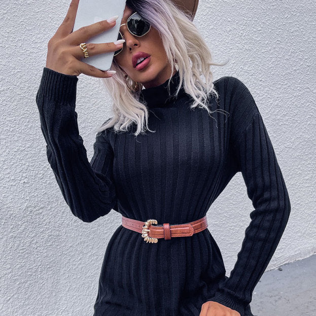 π§₯ Cozy Chic Turtleneck Sweater Dress β Fall Winter Must-Have βοΈ