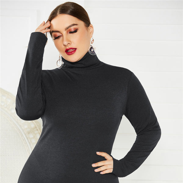 π€ Chic Plus Size Turtleneck Dress β Cozy, Stylish, & Flattering π€