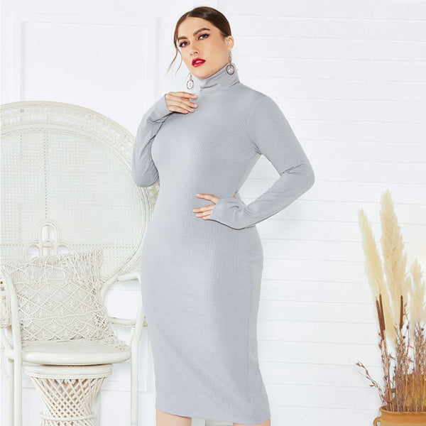 π€ Chic Plus Size Turtleneck Dress β Cozy, Stylish, & Flattering π€